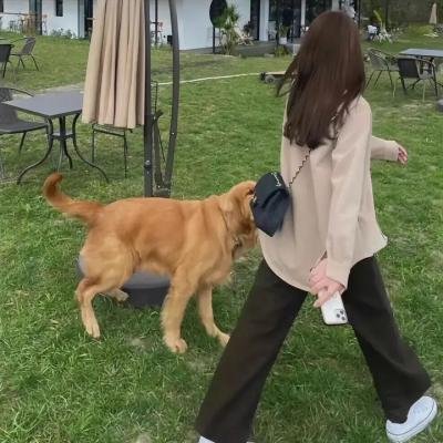 天生不是宝贝